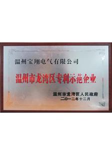 Wenzhou Longwan Patent demonstration enterprise